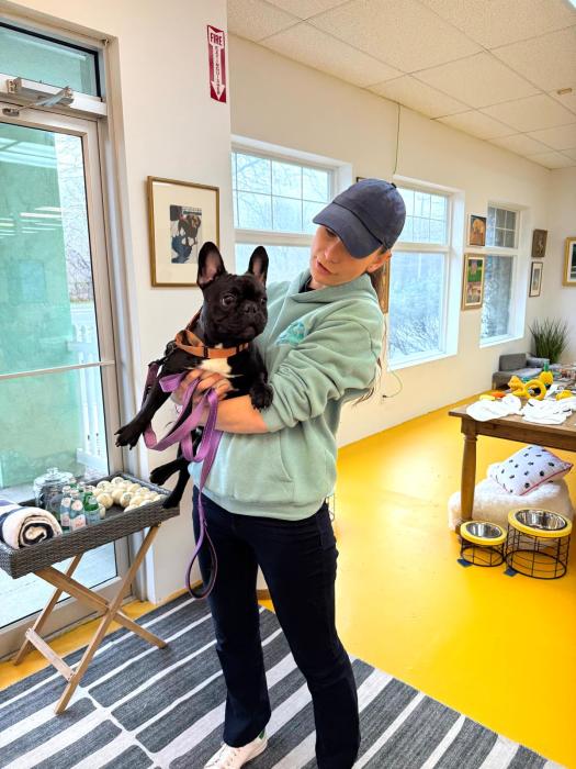 At Southampton Dog, creating an understanding between dog and owner is the fundamental mission.