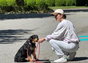 At Southampton Dog, experienced trainers will uniquely tailor you and your pet's needs.