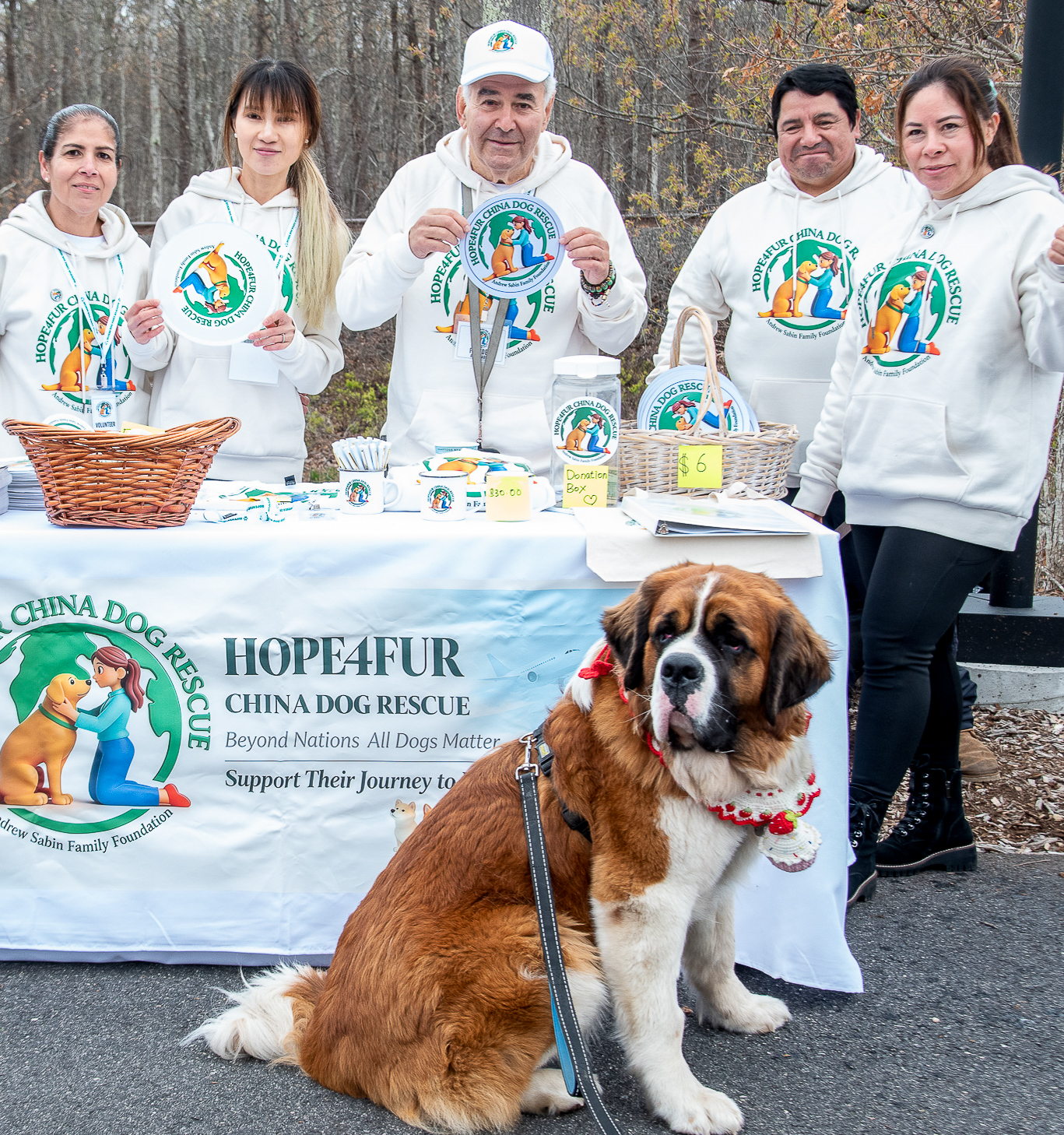 Hope4Fur China Dog Rescue Team