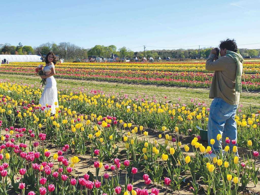 The Waterdrinker Farm Tulip Festival is loaded with photo ops