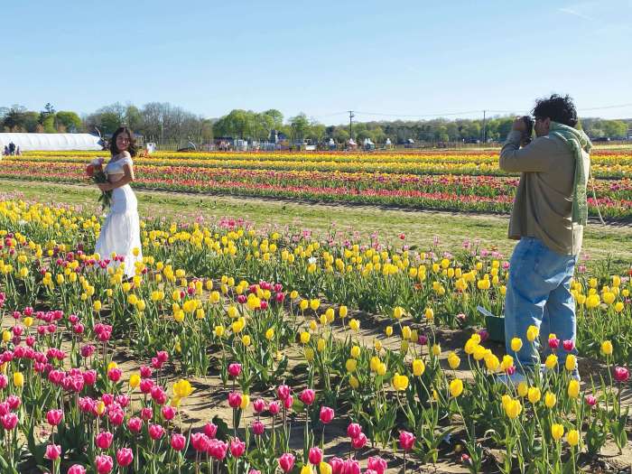 The Waterdrinker Farm Tulip Festival is loaded with photo ops