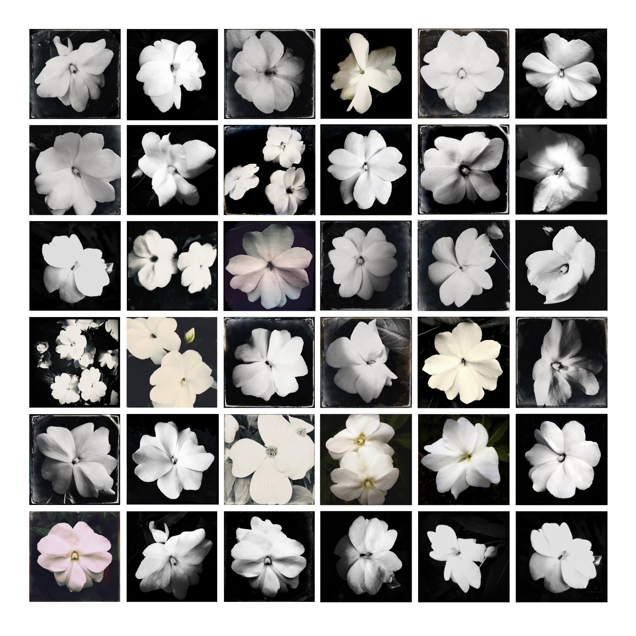 Collage by Adriane Stark to go on view at Hampton Fine Art Fair