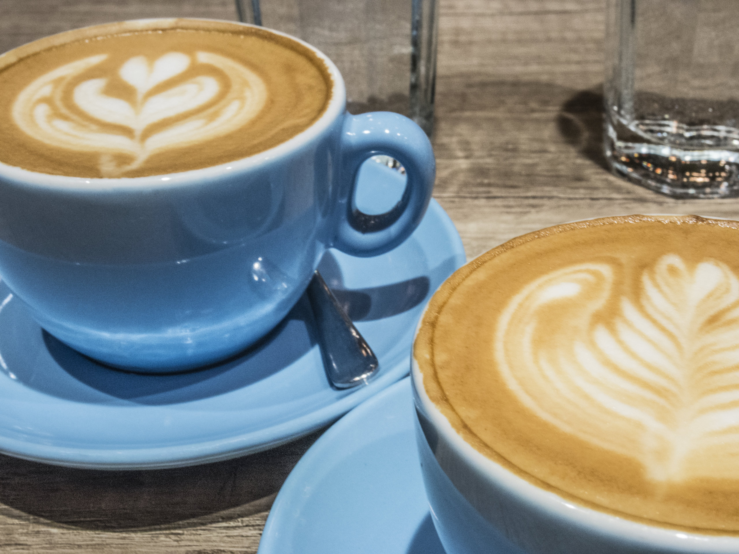 blue cups of coffee with foam designs inside coffee shop