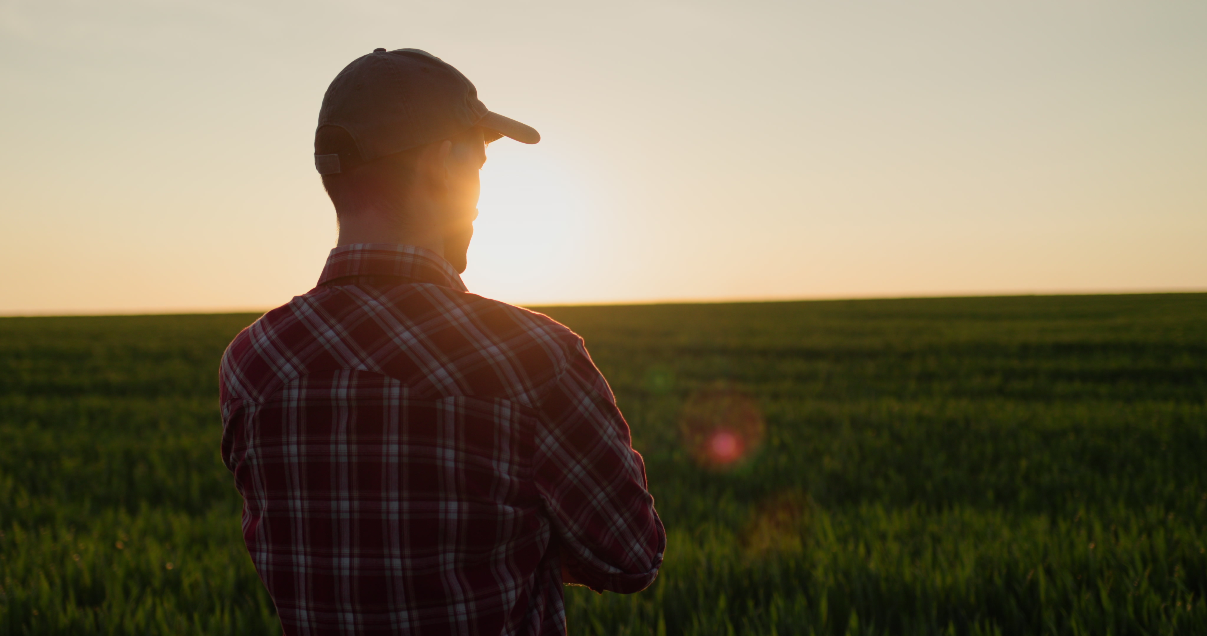 Sunset on a farm
