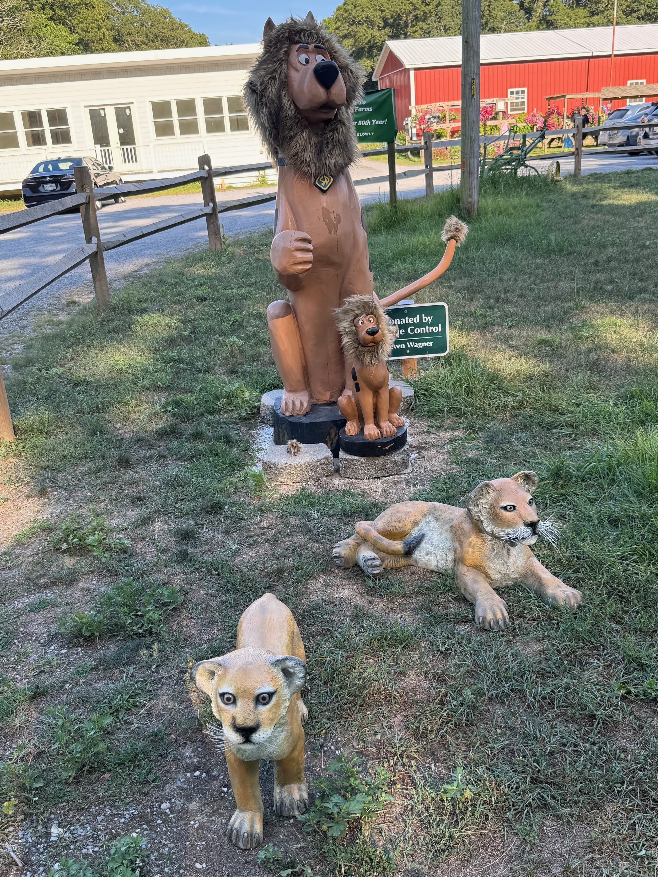 Lion Southampton Scooby