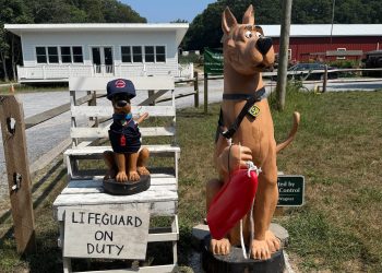 Southampton Scooby-Doo statue dressed in lifeguard attire