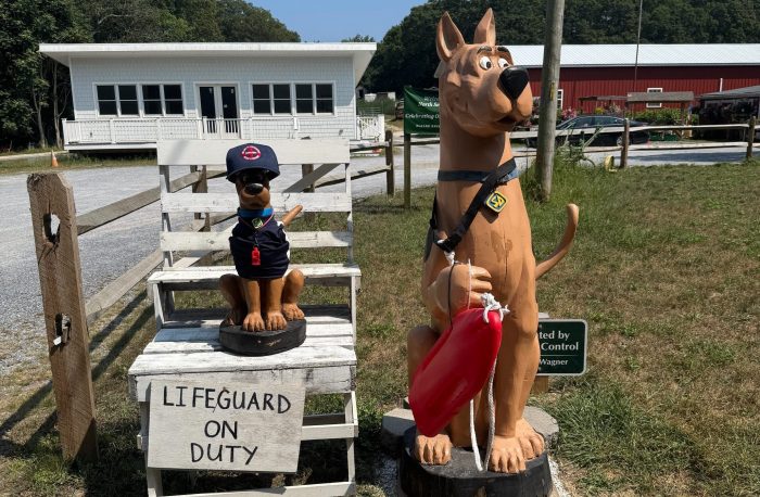 Southampton Scooby-Doo statue dressed in lifeguard attire