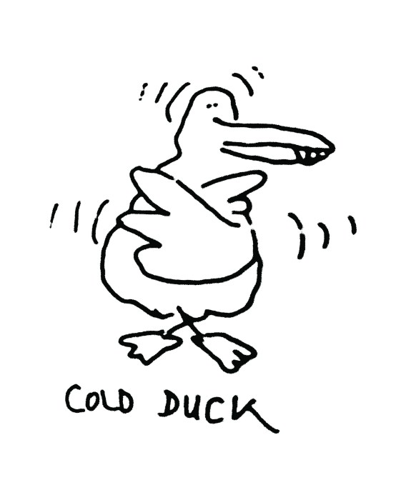 Cold duck cartoon by Dan Rattiner