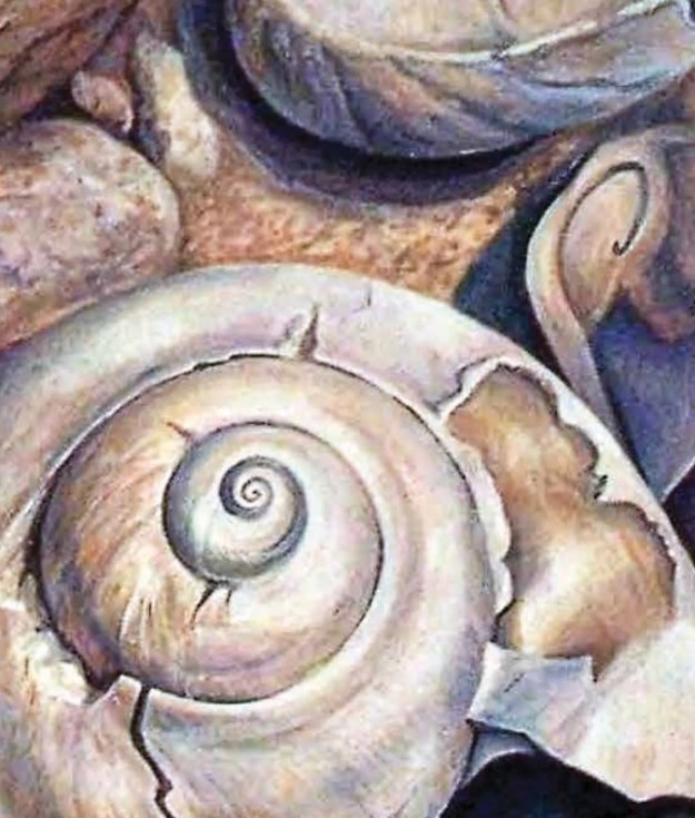 February 6, 2026 Dan's Papers cover art (detail) by Lil Reznicek