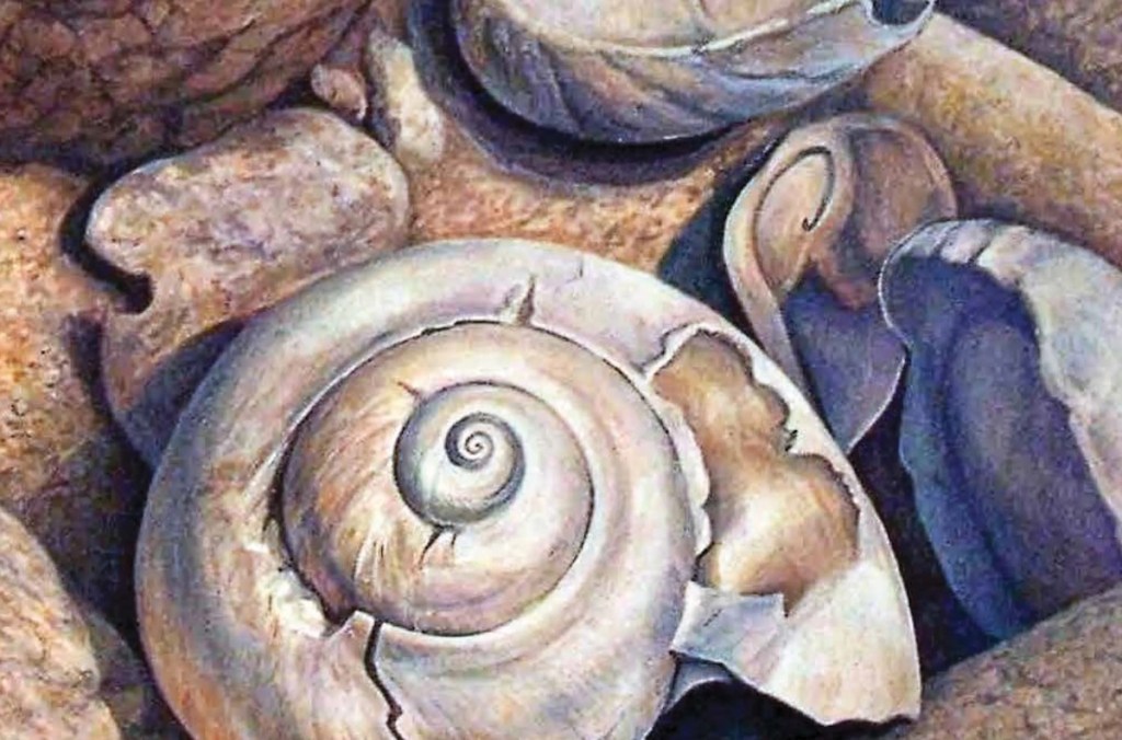 February 6, 2026 Dan's Papers cover art (detail) by Lil Reznicek