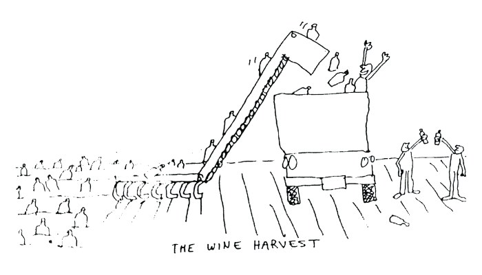 Wine harvest cartoon by Dan Rattiner