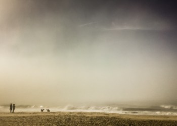 A Mother and Daughter Walking Their Dogs On A Beach in Amagansett (Getty Images)
