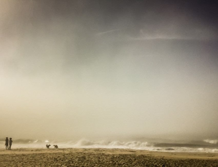 A Mother and Daughter Walking Their Dogs On A Beach in Amagansett (Getty Images)