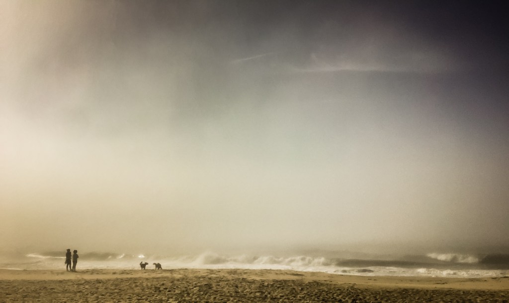 A Mother and Daughter Walking Their Dogs On A Beach in Amagansett (Getty Images)