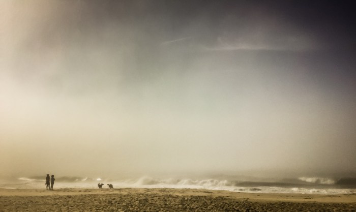 A Mother and Daughter Walking Their Dogs On A Beach in Amagansett (Getty Images)